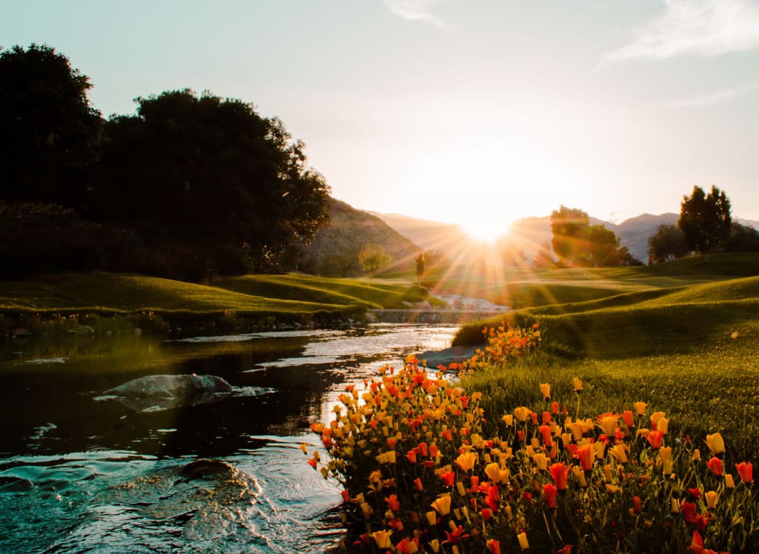golf-course-with-lots-of-nature